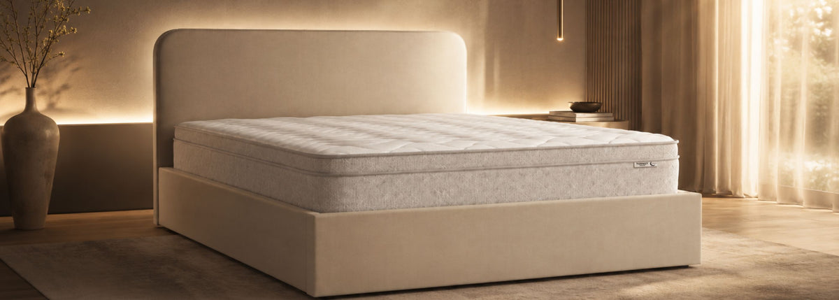 Banniere SENHO desktop - THENEST+ANTON ambiance